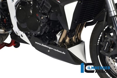 Bild von Motorspoiler