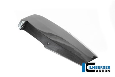 Bild von Motorspoiler Carbon glanz