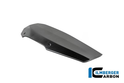 Bild von Motorspoiler Carbon matt