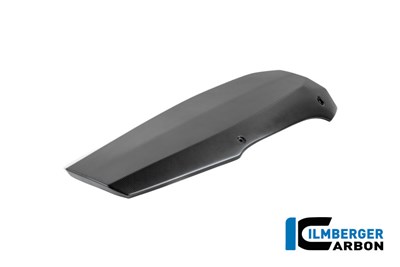 Bild von Motorspoiler Carbon matt