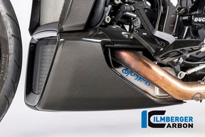 Bild von Motorspoiler links glanz