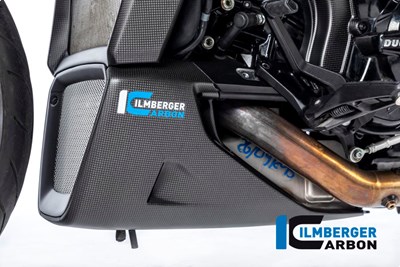 Bild von Motorspoiler links matt