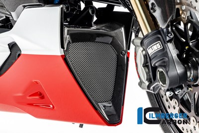 Bild von Motorspoilermittelteil / Ölkühlereinlass glanz