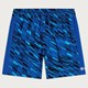 PADDOCK BLUE BADESHORTS