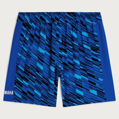 Bild von PADDOCK BLUE BADESHORTS