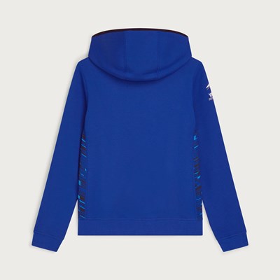 Bild von PADDOCK BLUE TEAM HOODIE
