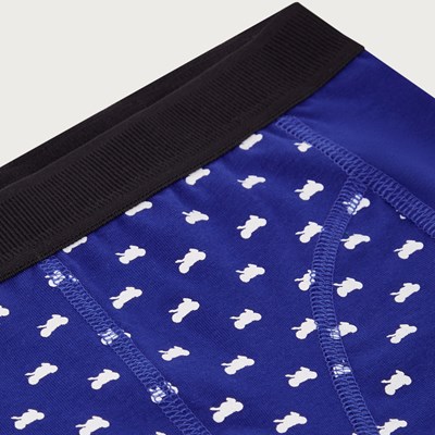 Bild von PADDOCK BLUE UNTERWÄSCHE JUNGS