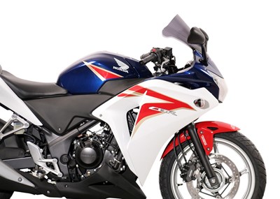 Bild von Scheibe Racing R