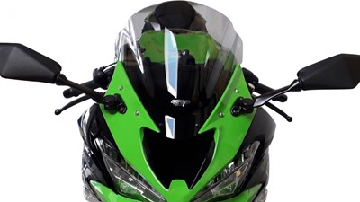 Bild von Scheibe Racing R