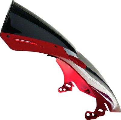 Bild von Scheibe Racing R