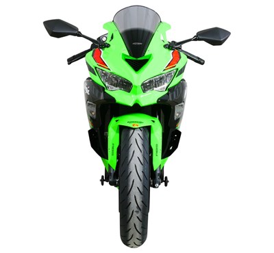 Bild von Scheibe Racing R grau