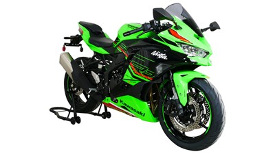 Bild von Scheibe Racing R grau
