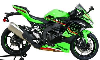 Bild von Scheibe Racing R grau