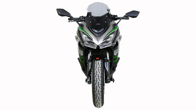 Bild von Scheibe Racing R grau