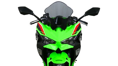 Bild von Scheibe Racing R grau