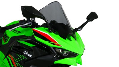 Bild von Scheibe Racing R grau