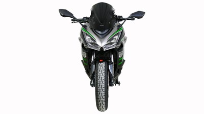 Bild von Scheibe Racing R schwarz