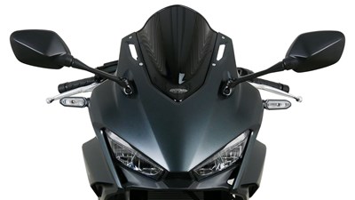 Bild von Scheibe Racing R schwarz