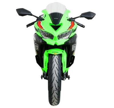 Bild von Scheibe Racing R transparent