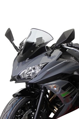 Bild von Scheibe Racing RM transparent