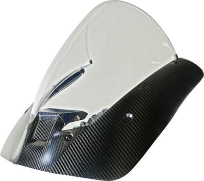 Bild von Scheibe Racing RM transparent