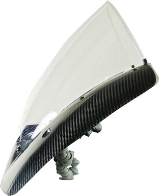 Bild von Scheibe Racing RM transparent