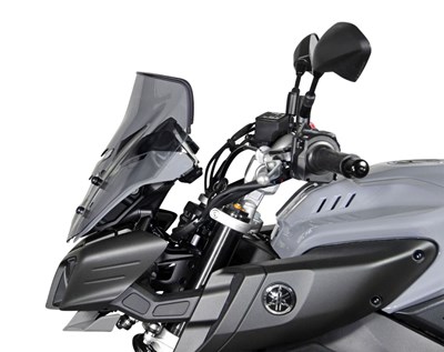 Bild von Scheibe Sport NS transparent