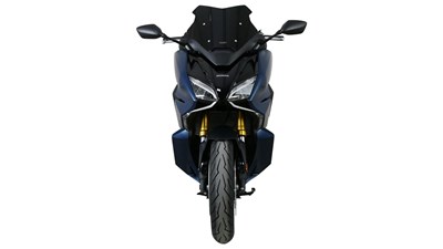 Bild von Scheibe Sport SP schwarz