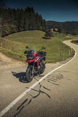 Bild von Scheibe Touring TM
