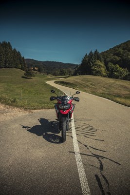 Bild von Scheibe Touring TM