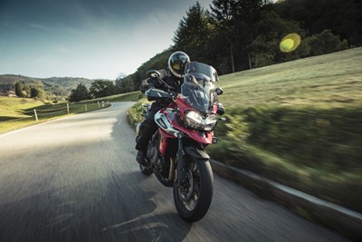 Bild von Scheibe Vario X-Creen VXCM grau