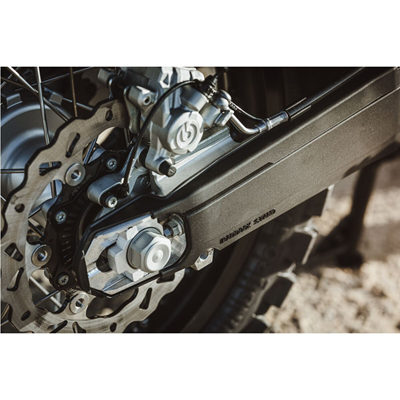 Bild von Schwingenschutz