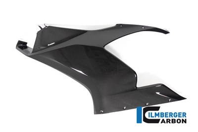 Bild von Seitenteil für Winglet links glanz