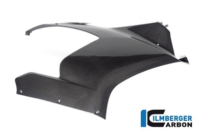 Bild von Seitenverkleidung für Winglet rechts glanz