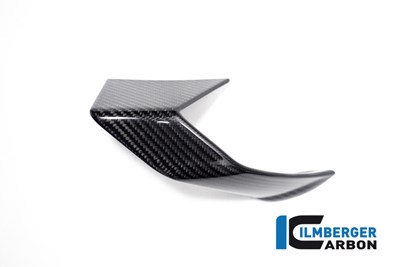 Bild von Verkleidungs Winglet links