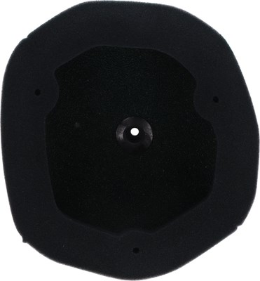 Bild von Vorgeölter Luftfilter 151130FRX