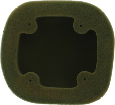 Bild von Vorgeölter Luftfilter 155800X