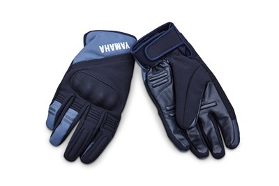 Bild von WINTERHANDSCHUH HERREN