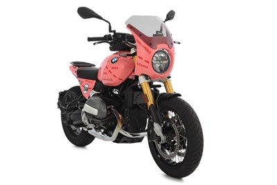 Bild von Wunderlich Motorschutz PURE R12 / R 12 nineT